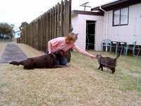 Robyn, Brianna and Bingle