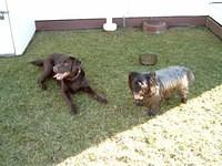 Brianna and Blake