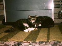 Pee Wee and Tigger