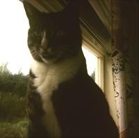 Tigger