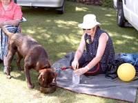 Robyn and Brianna at dogs are fun day