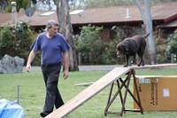 Fun Agility. Stephen and Brianna
