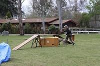 Fun Agility. Ruth