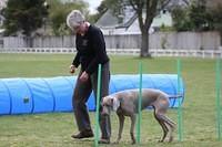 Fun Agility. Ruth