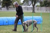 Fun Agility. Ruth