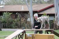 Fun Agility. Ruth