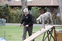 Fun Agility. Ruth