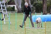 Fun Agility. Ruth