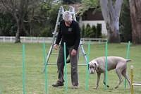 Fun Agility. Ruth