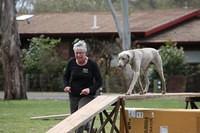 Fun Agility. Ruth