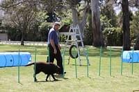 Fun Agility. Stephen and Brianna