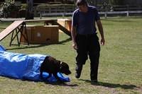 Fun Agility. Stephen and Brianna