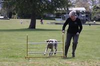 Fun Agility. Ruth