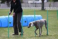 Fun Agility. Ruth