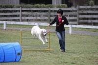 Fun Agility