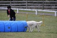 Fun Agility