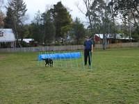 Fun Agility. Stephen and Brianna