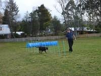 Fun Agility. Stephen and Brianna