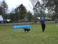 Fun Agility. Stephen and Brianna