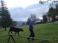 Fun Agility. Stephen and Brianna