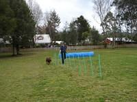 Fun Agility. Stephen and Brianna
