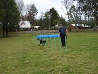 Fun Agility. Stephen and Brianna