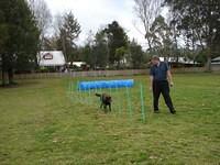 Fun Agility. Stephen and Brianna
