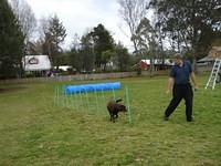 Fun Agility. Stephen and Brianna