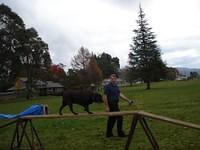 Fun Agility. Stephen and Brianna