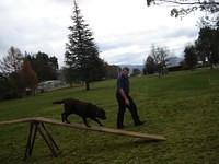 Fun Agility. Stephen and Brianna