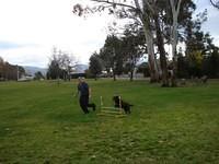 Fun Agility. Stephen and Brianna
