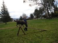 Fun Agility. Stephen and Brianna