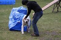 Fun Agility
