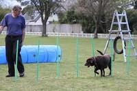 Fun Agility. Stephen and Brianna