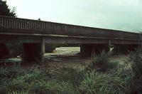 Flood and Bridge