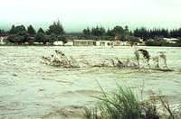 Flood and Lodge