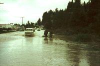 Flood and River Road