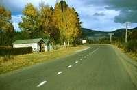State Highway 1 Turangi Gosling Grove area